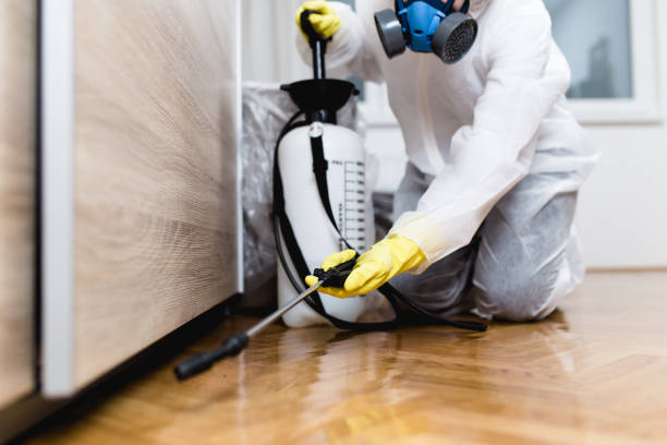 Best Exterminator Services  in West Blocton, AL