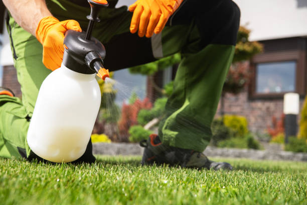 Best Wasp Removal Services  in West Blocton, AL
