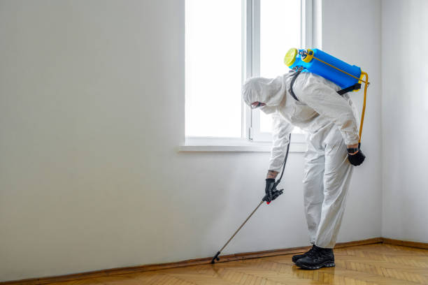 Best Pest Control for Homes  in West Blocton, AL