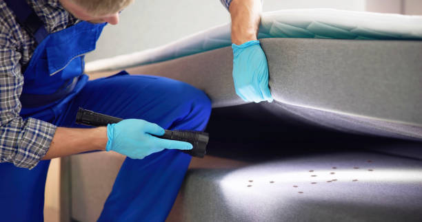 Reliable West Blocton, AL Pest Control Solutions