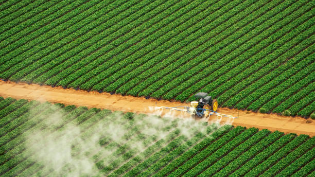 Best Mosquito Control Services  in West Blocton, AL