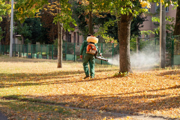 Trusted West Blocton, AL Pest Control Experts