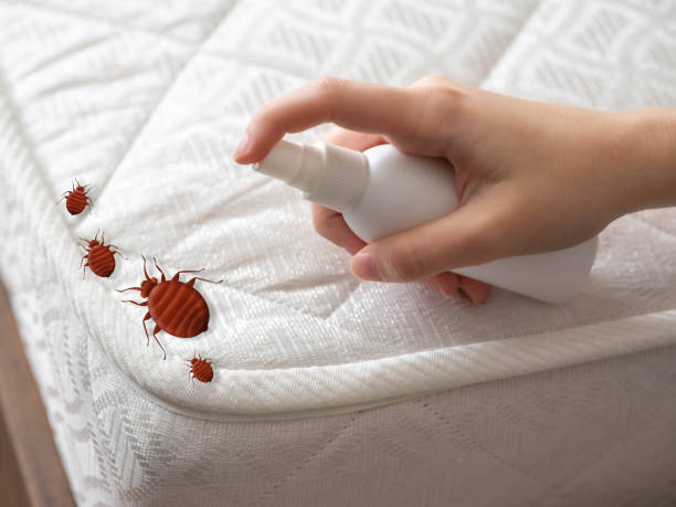 Best Pest Removal Services  in West Blocton, AL