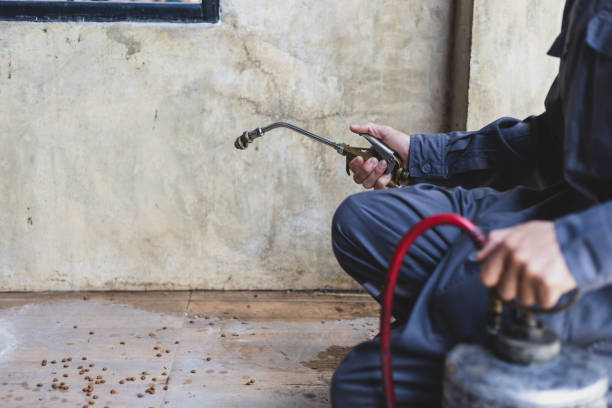 Best Cockroach Control Services  in West Blocton, AL